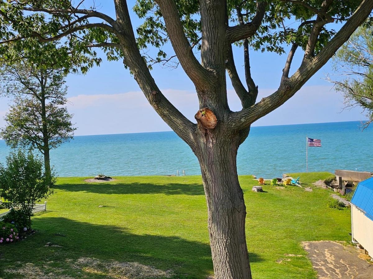 Tree-Top Lake-Front Cottage Madison エクステリア 写真